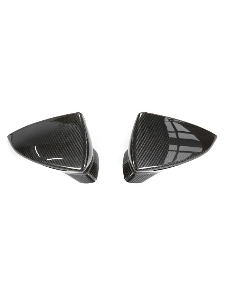 LEON OEM KARBON AYNA KAPAĞI